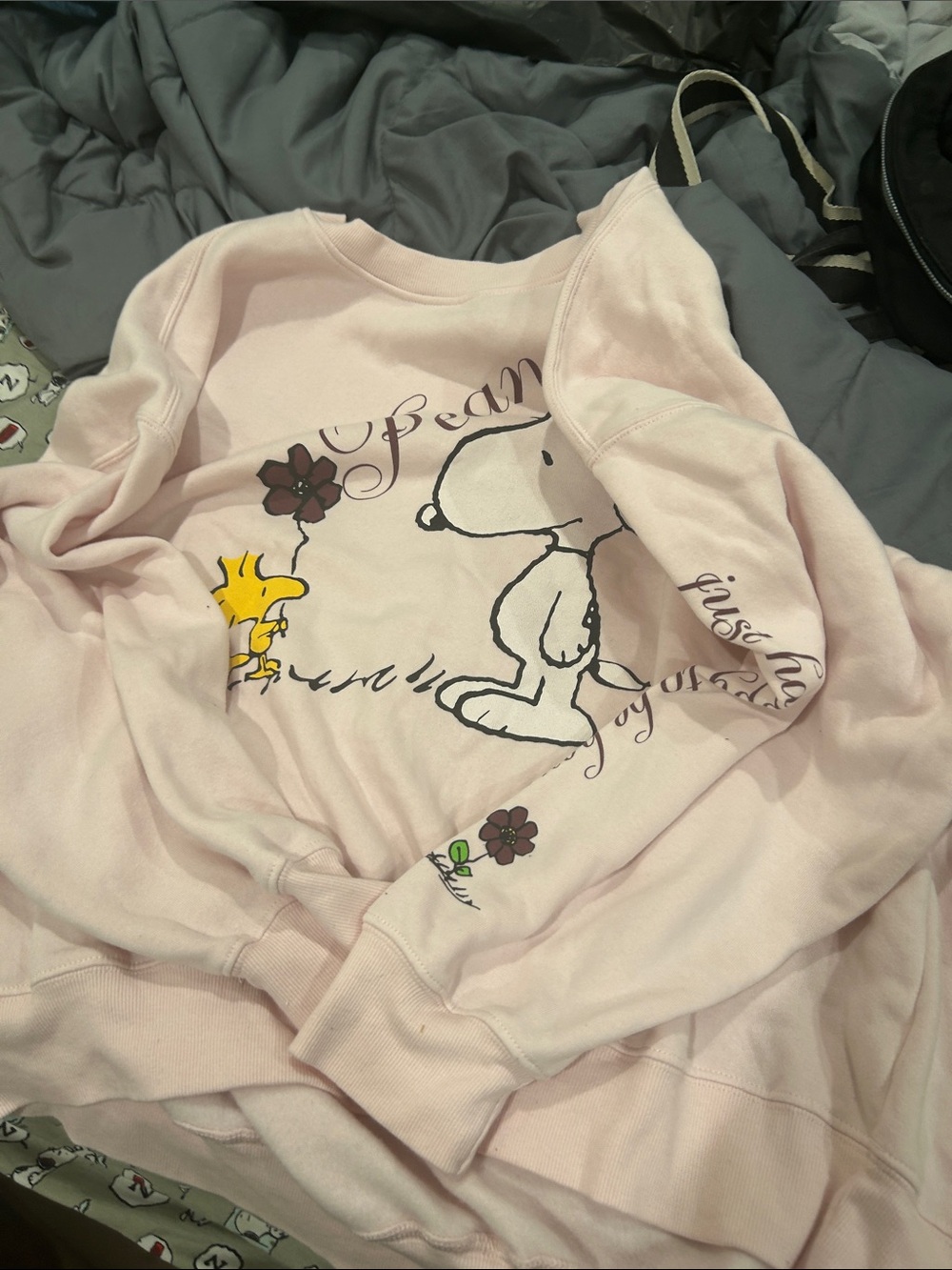 Hybrid Apparel Light Pink Snoopy & Woodstock Graphic Crewneck Sweatshirt
